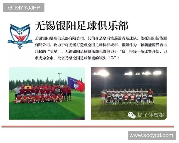 2016年中国足球改革新政解析与未来发展展望