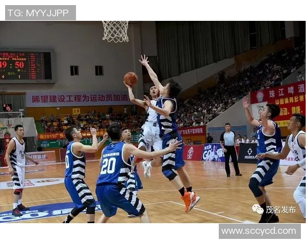 2019广东省篮球联赛精彩回顾与球队表现分析